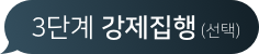 3단계 강제집행 (선택)